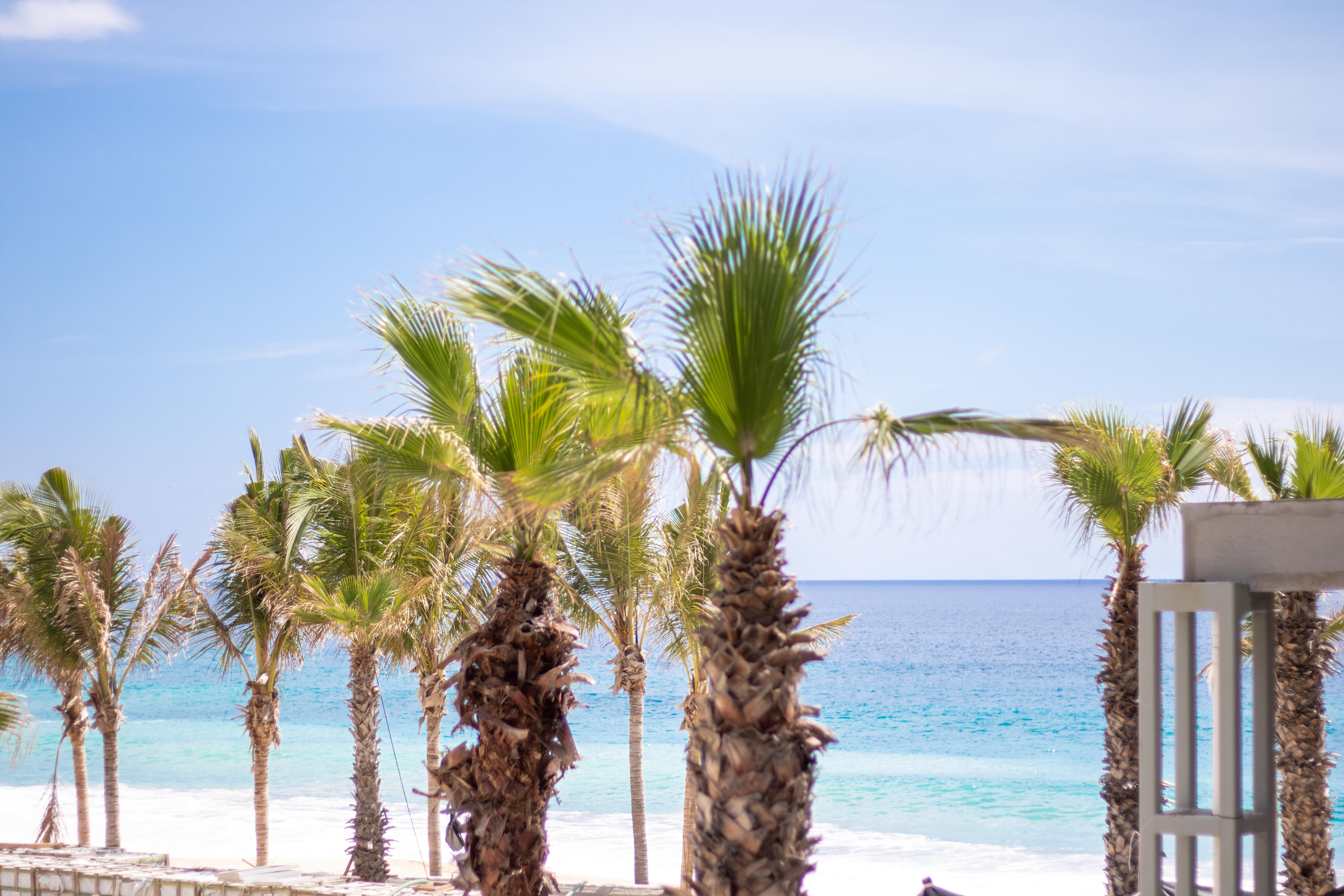 Garza Blanca Resort & Spa Los Cabos Cabo San Lucas Exterior photo